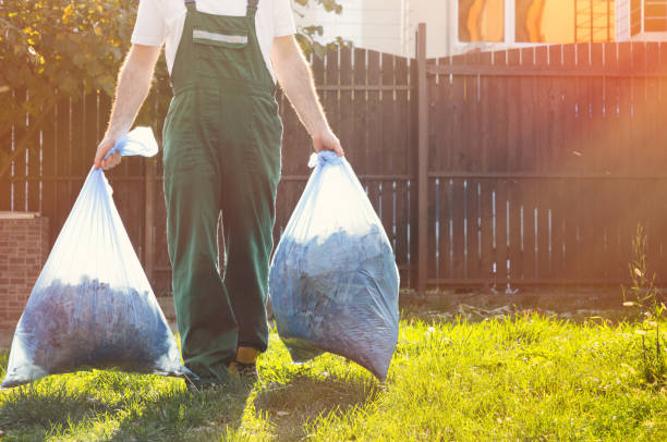 Best Professional Junk Removal  in Little Walnut Village, NM