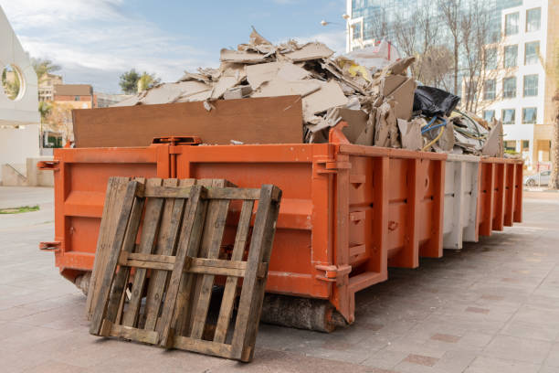 Best Yard Cleanup Services  in Little Walnut Village, NM